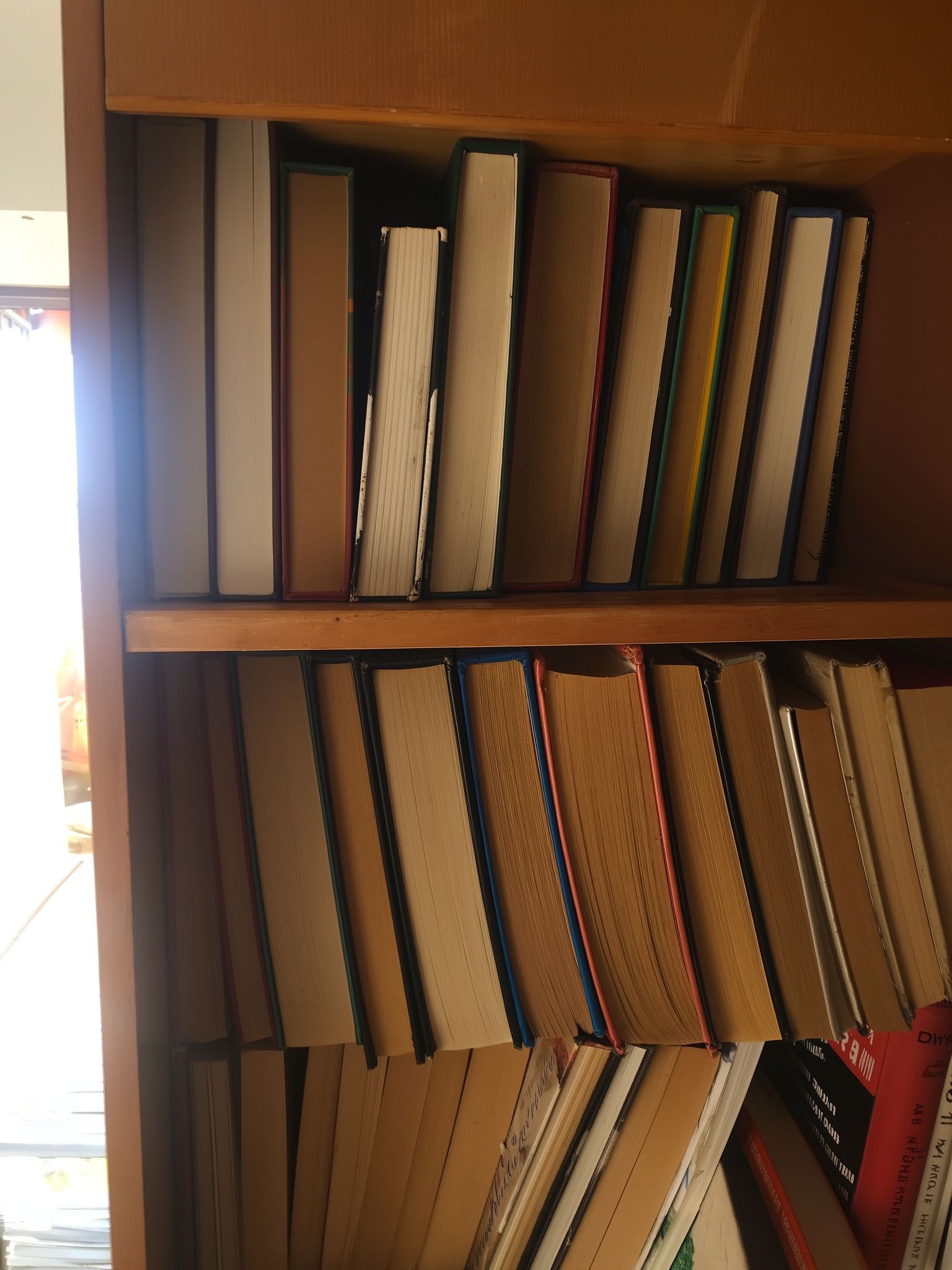 Boekenruggen in de kasten van de winkel.